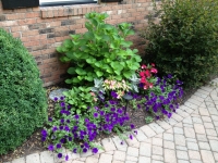 Unique Planting Services, Penfield