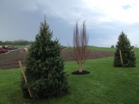 Landscaping Services, Fairport