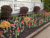 unique Landscape Installation, Penfield