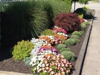 Landscaping Company in Penfield