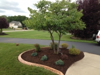 Landscape Maintenance, Webster