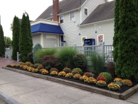 Landscape Makeover, Webster