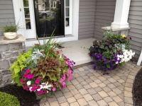 Decorative Flowerpots and Plants