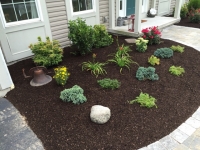 Landscaping Planting, Webster