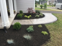 Landscape Design and Plantings