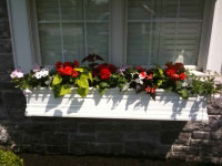 Flower Boxes, Webster