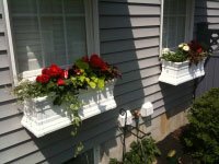 window boxes, Webster