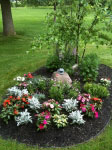 Seasonal Garden Enhancement, Fairport