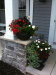 Flower Pots for plants